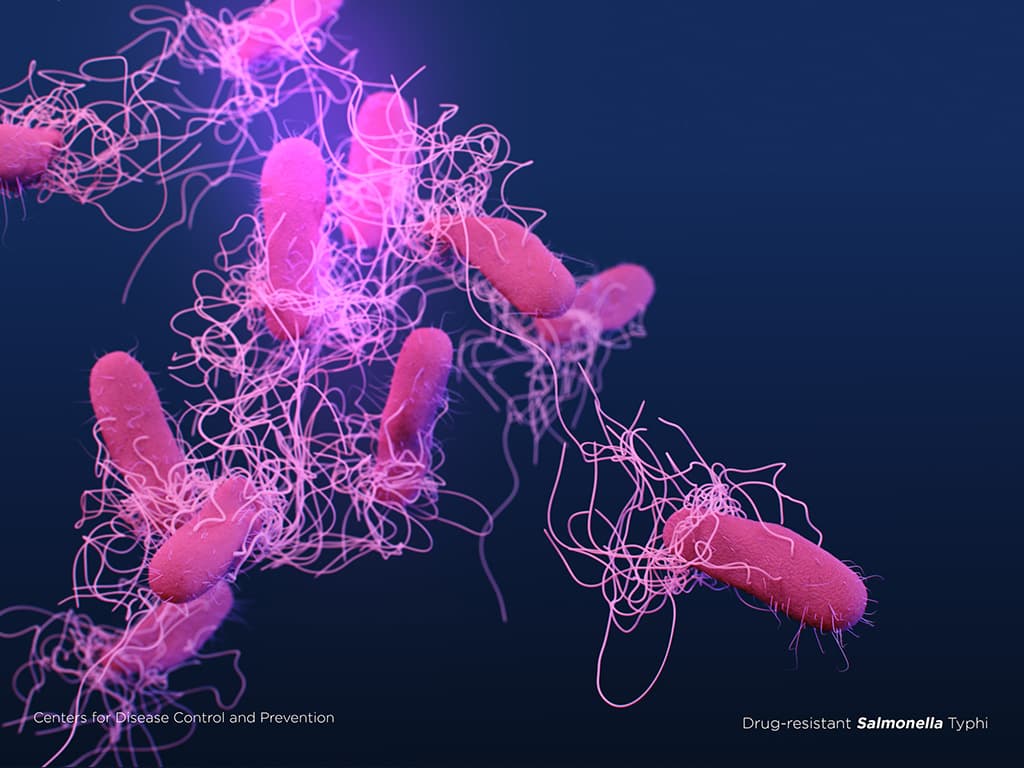 Illustration of Drug-resistant Salmonella Typhi