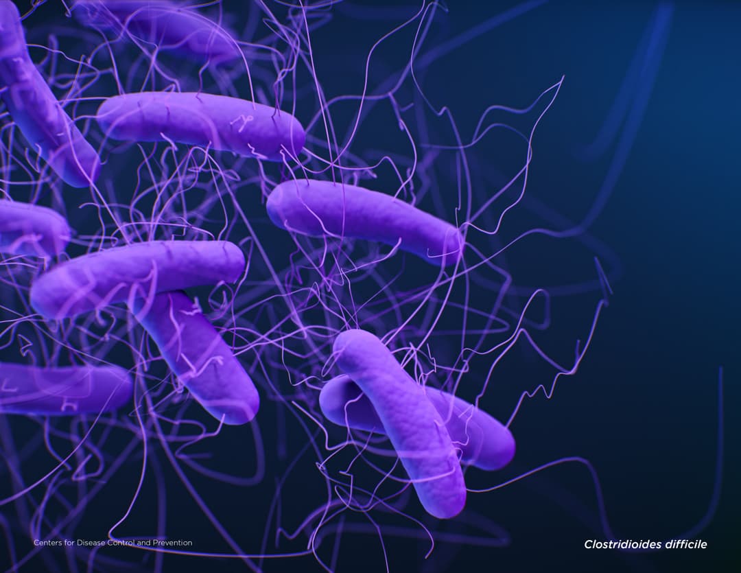 Illustration of Clostridioides difficile