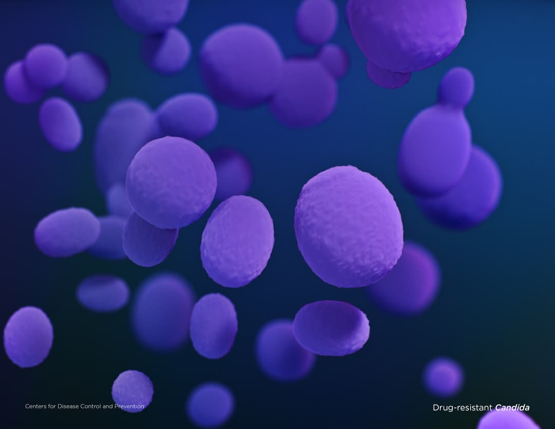 Illustration of Drug-resistant Candida