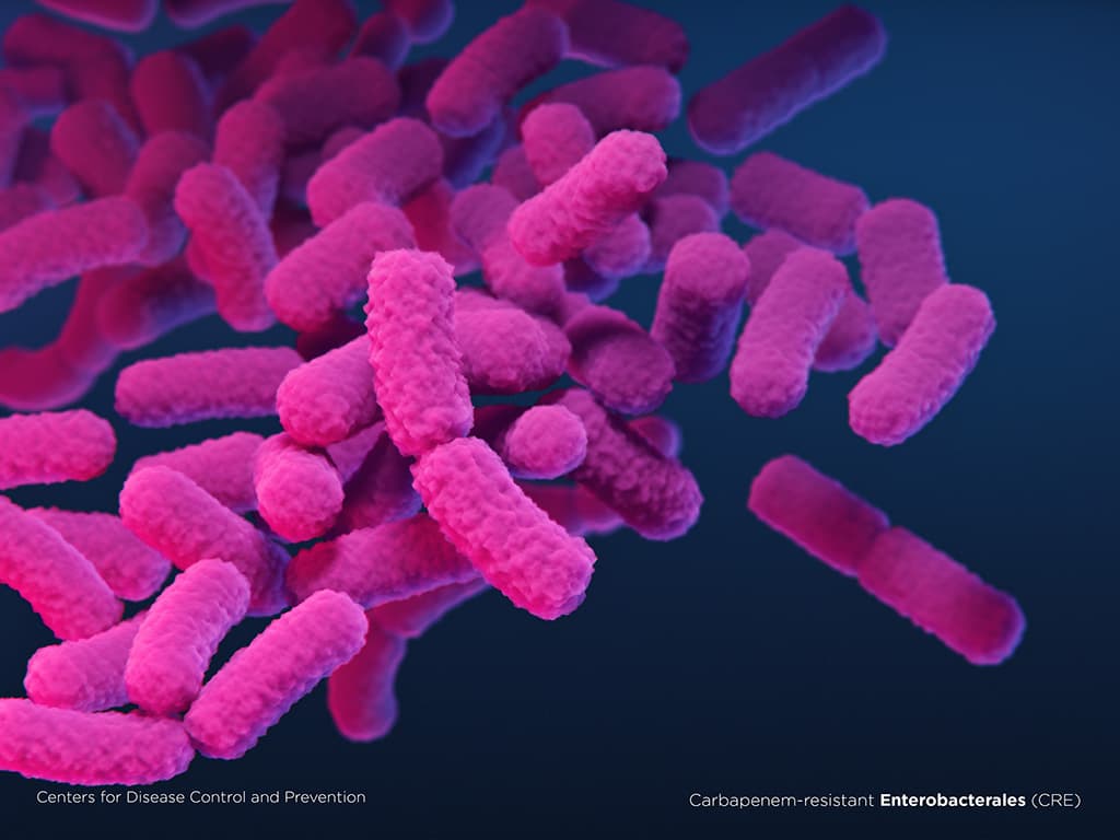 Illustration of Carbapenem-resistant Enterobacterales