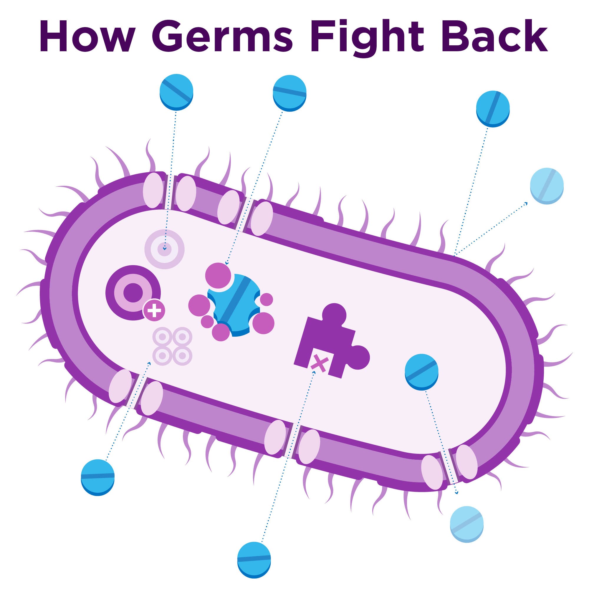 Illustrated bacteria cell showing how germs fight back with different resistance mechanisms.