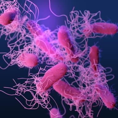 National Antimicrobial Resistance Monitoring System (NARMS)