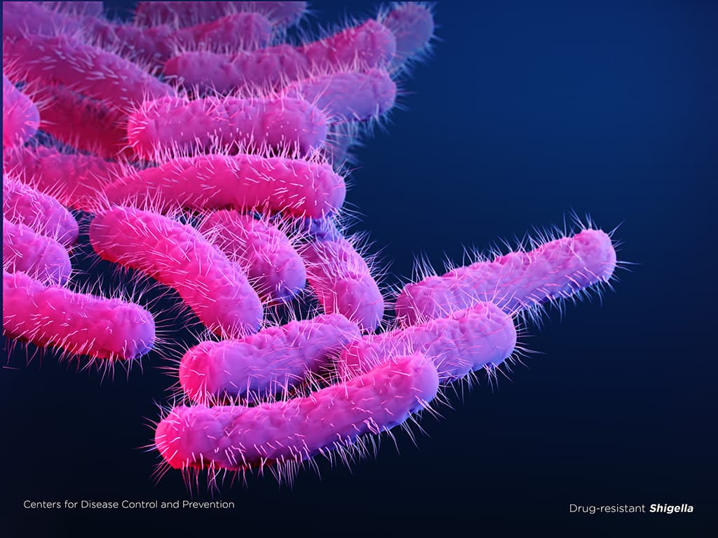 Illustration of Drug-resistant Shigella