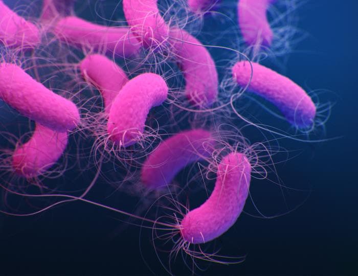 Carbapenem-resistant Enterobacterales (CRE) and Pseudomonas aeruginosa (CRPA) carrying multiple targeted carbapenemase genes