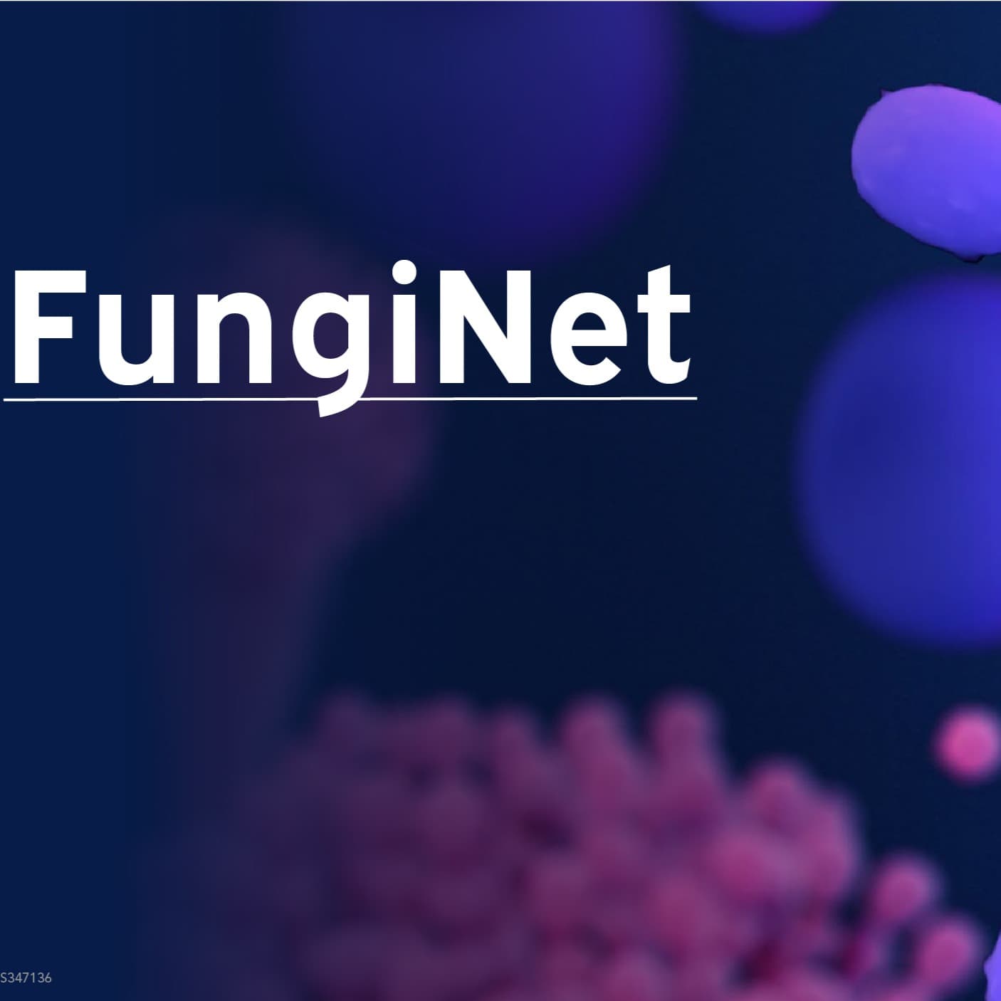 FungiNet