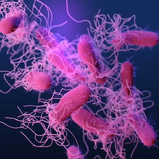 National Antimicrobial Resistance Monitoring System
