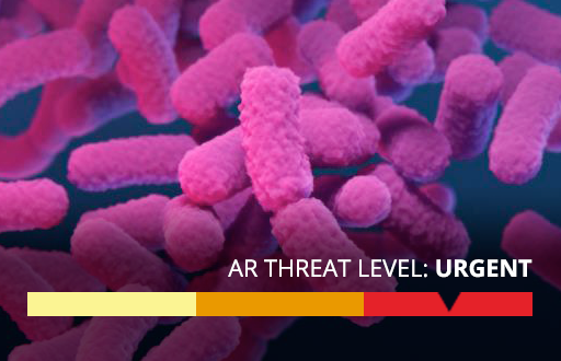 Carbapenem-resistant Enterobacterales (CRE): An urgent public health threat